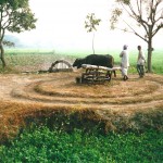 Persian Wheel
