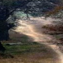 Nazm, “ਸਫਰ,” Punjabi Poem, “Journey/Safar” (Gurmukhi/Romanized)