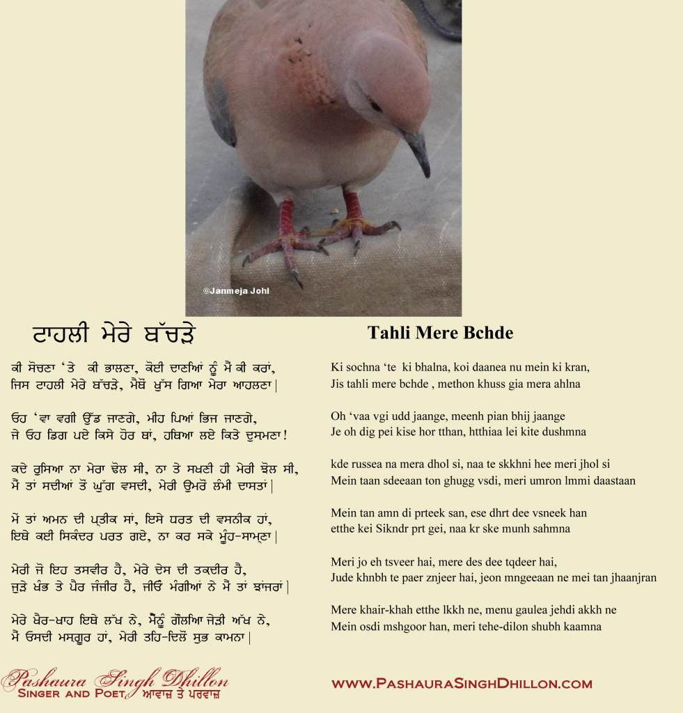 Nazm, “ਟਾਹਲੀ ਮੇਰੇ ਬਚੜੇ,” Punjabi Poem, “Tahli Mere Bachde”(Gurmukhi/Romanized)