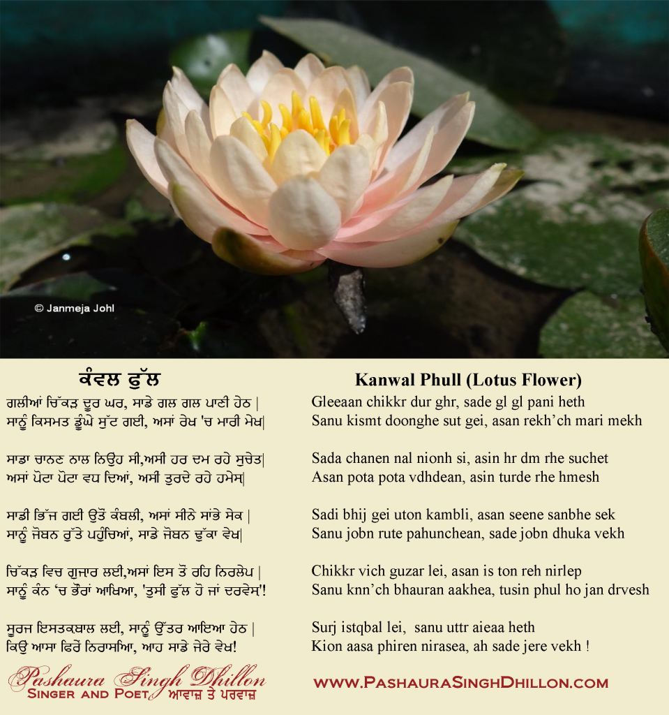 Nazm, “ਕੰਵਲ ਫੁੱਲ,” Punjabi Poem, “Lotus Flower” (Gurmukhi/Romanized)